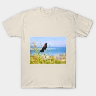 Summer Red Winged Blackbird T-Shirt